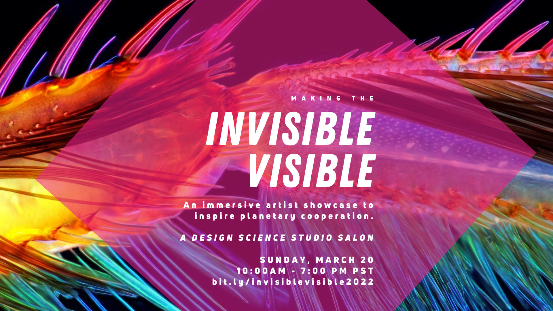Invisible Visible